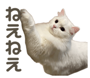859243414