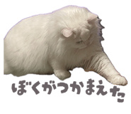 859243417
