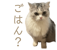 859243427