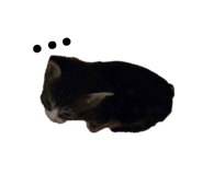 859243642