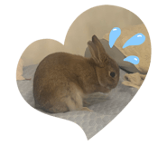 859243813