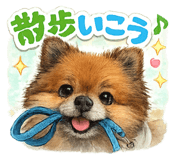 859244088