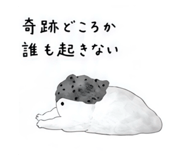 859244164