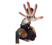 859244251