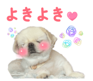 859244266
