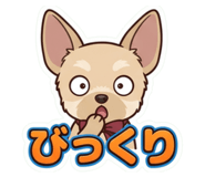 859244355