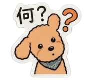 859244443