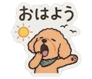 859244447