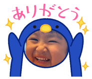 859244527