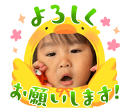 859244536