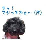 859245057