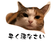 859245162