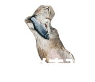 859245168