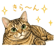 859245196
