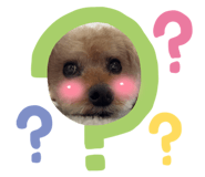 859245240