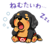 859245259