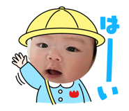 859245331