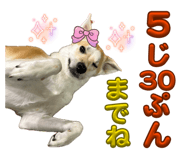 859245682