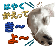 859245684