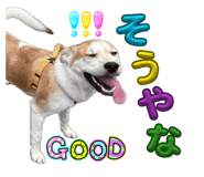 859245687