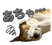 859245688