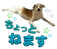 859245691