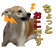 859245692