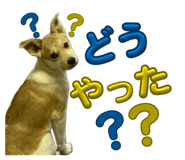 859245694