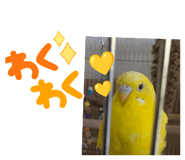 859245857