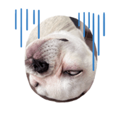 859246143