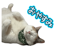 859246393