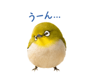 859246421