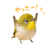 859246423