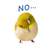 859246443