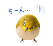 859246446