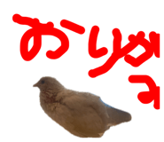 859246486