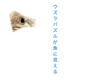 859246487