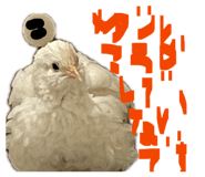 859246490