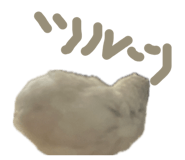 859246492