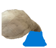 859246494