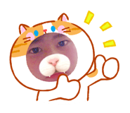 859246501