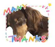 859246526