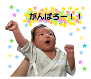 859246561