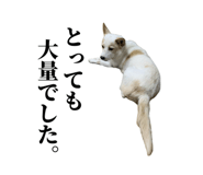 859246621