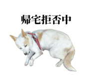 859246624