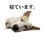 859246625
