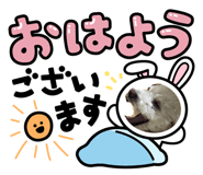 859246642