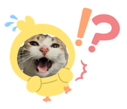 859246643