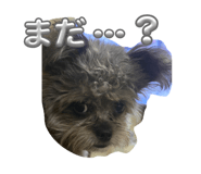 859246672