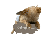 859246694